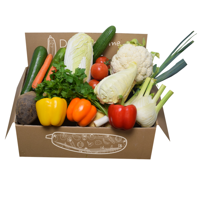 Gesunde Ernährung leicht gemacht: Die Top-Vorteile von Gemüseboxen